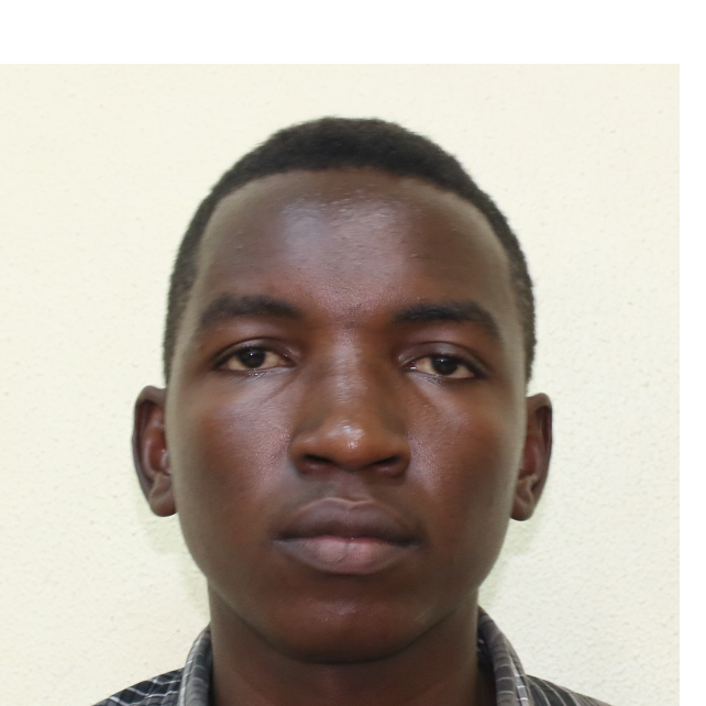 DAUDI H MWALUSEKE